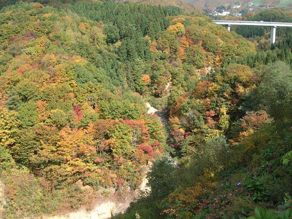 Zao Kokusai Hotel Yamagata  Exterior foto